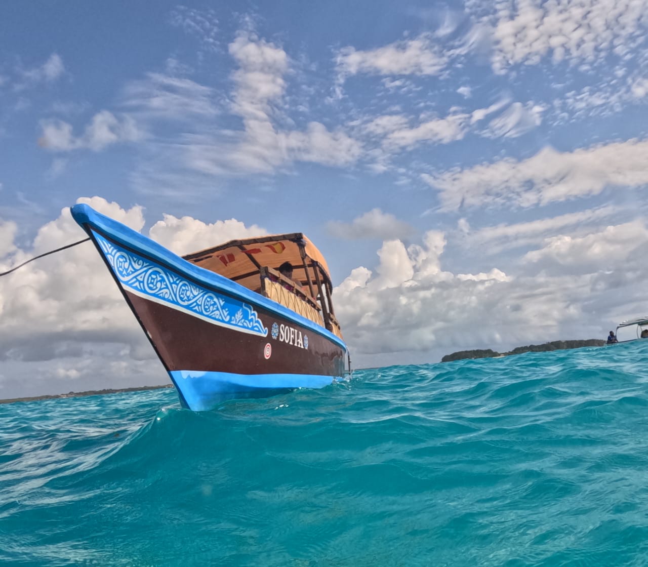 Zanzibar: Mnemba Reef Snorkeling and Dolphin Tour with Lunch on the Island