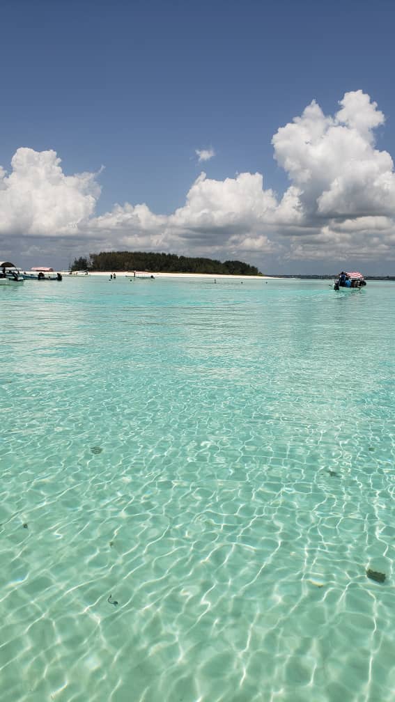 Zanzibar: Mnemba Reef Snorkeling and Dolphin Tour with Lunch on the Island