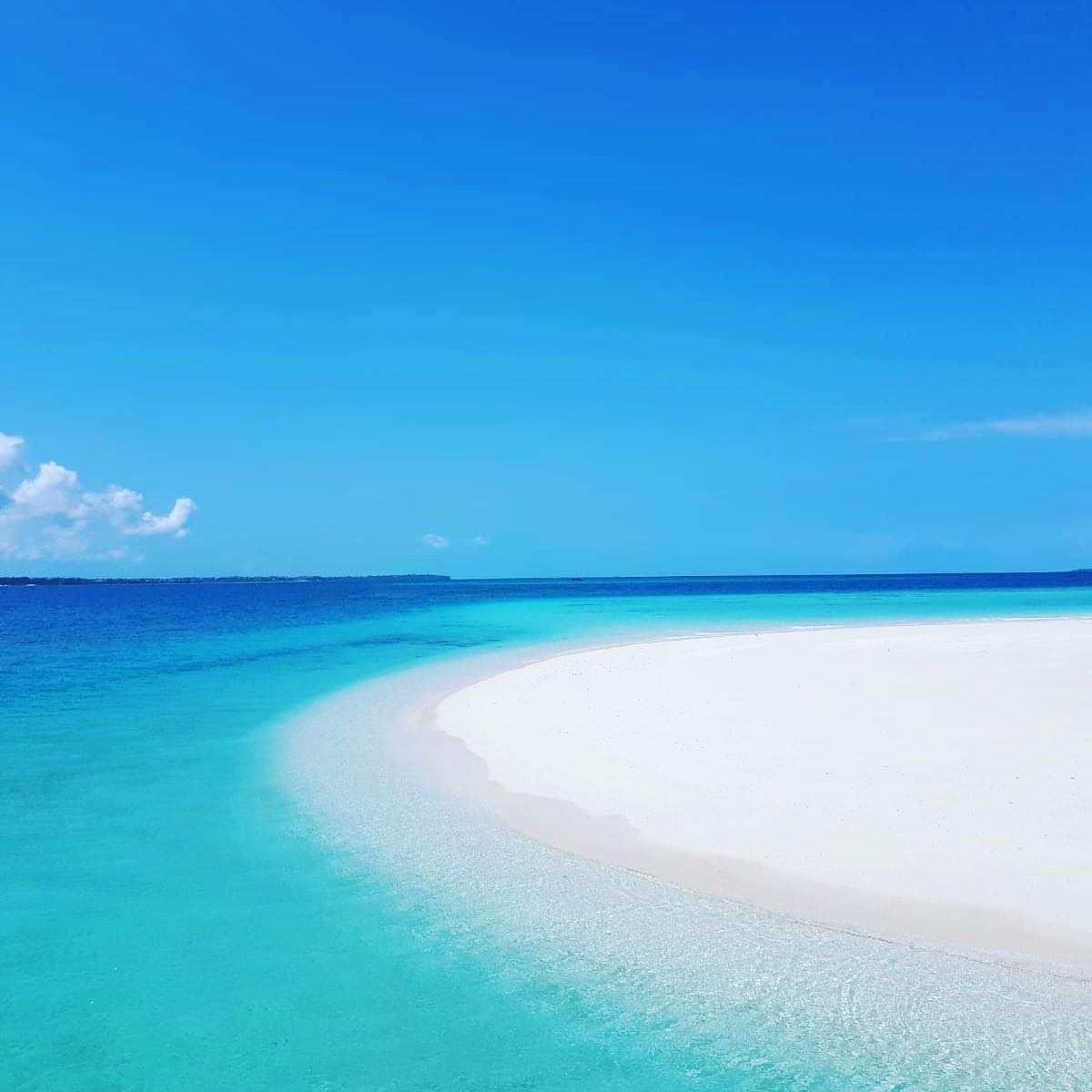 Zanzibar: Mnemba Reef Snorkeling and Dolphin Tour with Lunch on the Island