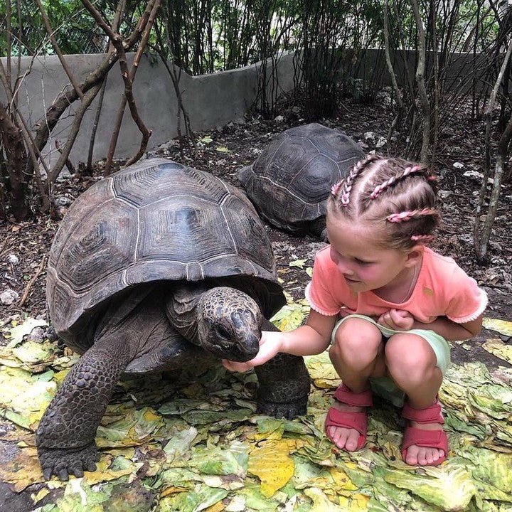 Zanzibar: Nungwi Kilosa Zoo and Baraka Aquarium Private Tour