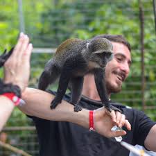 Zanzibar: Nungwi Kilosa Zoo and Baraka Aquarium Private Tour