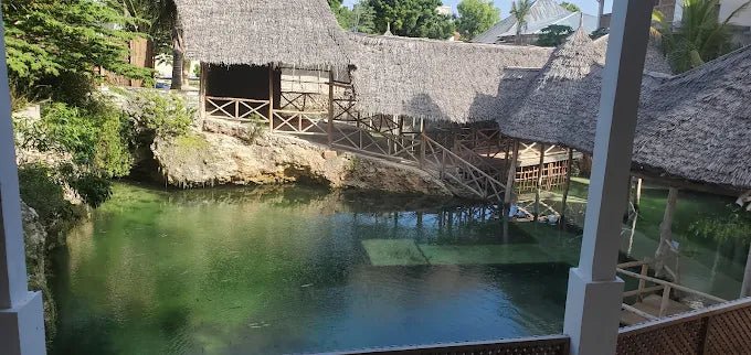Zanzibar: Nungwi Village and Turtle Lagoon Tour with Boat Yard Visit