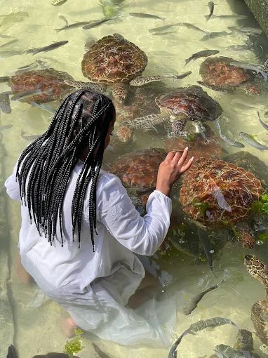 Zanzibar: Nungwi Village and Turtle Lagoon Tour with Boat Yard Visit