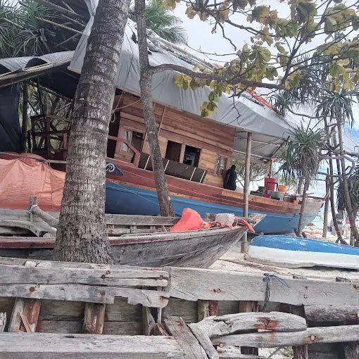 Zanzibar: Nungwi Village and Turtle Lagoon Tour with Boat Yard Visit