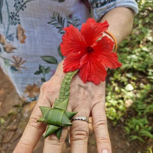 Zanzibar: Organic Spice Farm Guided Tour with Tasting and Lunch