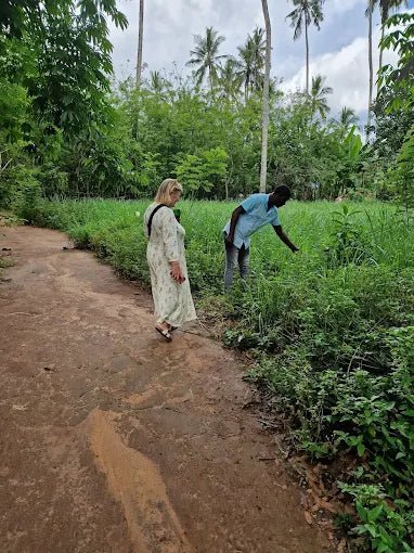 Zanzibar: Organic Spice Farm Guided Tour with Tasting and Lunch