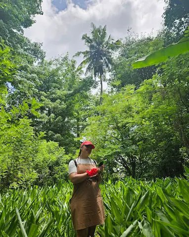Zanzibar: Organic Spice Farm Guided Tour with Tasting and Lunch