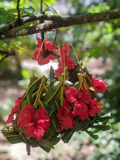 Zanzibar: Organic Spice Farm Guided Tour with Tasting and Lunch