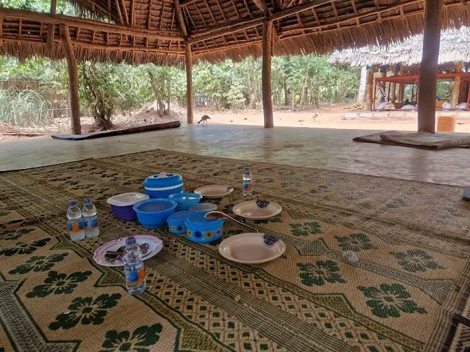 Zanzibar: Organic Spice Farm Guided Tour with Tasting and Lunch