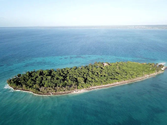 Zanzibar: Prison Island and Nakupenda Sandbank Boat Tour with Lunch