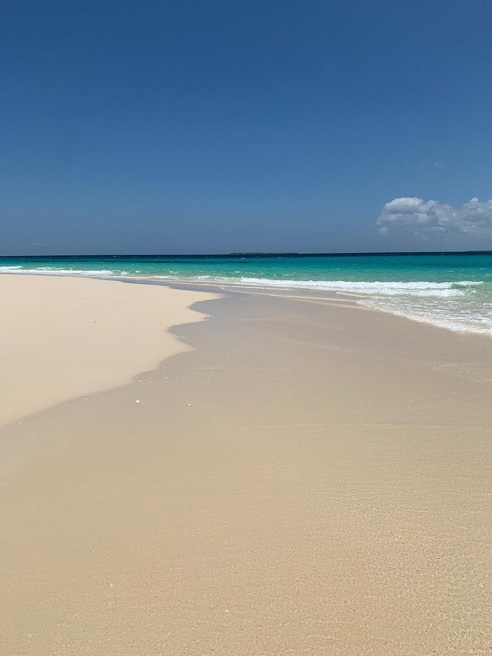 Zanzibar: Prison Island and Nakupenda Sandbank Boat Tour with Lunch