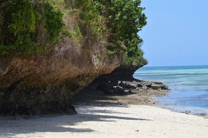 Zanzibar: Prison Island and Nakupenda Sandbank Full - Day Tour with Snorkeling and Seafood Lunch