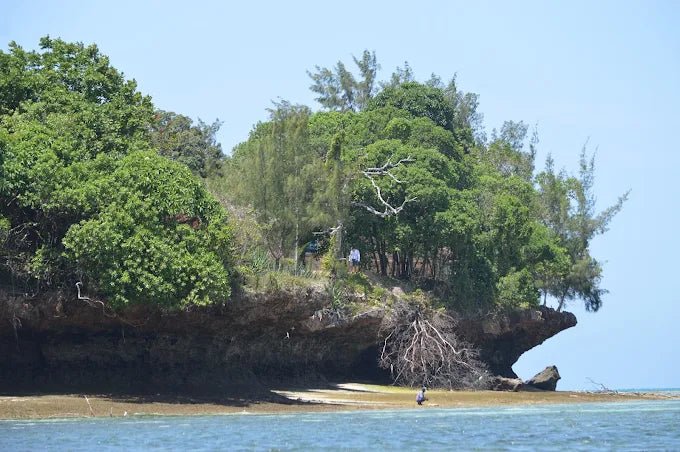 Zanzibar: Prison Island and Nakupenda Sandbank Full - Day Tour with Snorkeling and Seafood Lunch