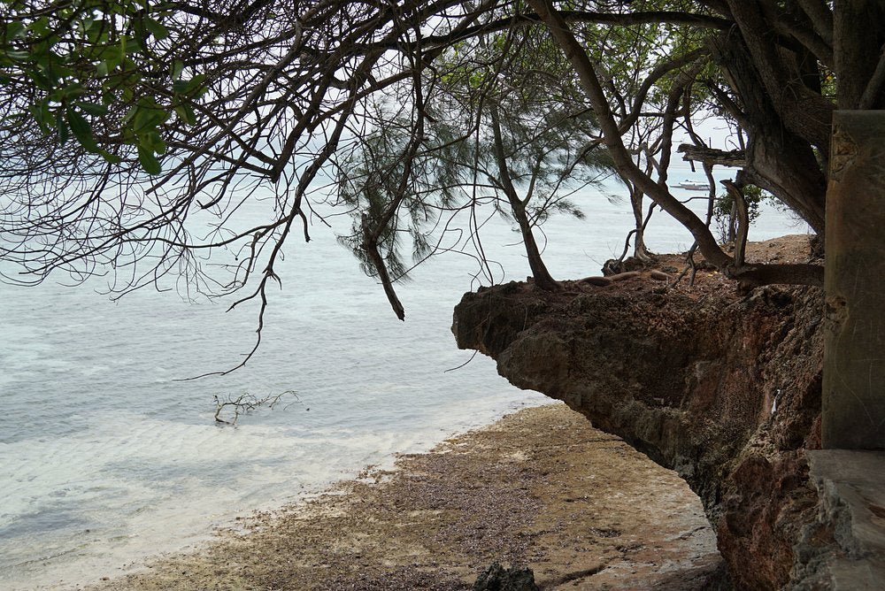 Zanzibar: Prison Island and Nakupenda Sandbank Tour with Seafood Lunch