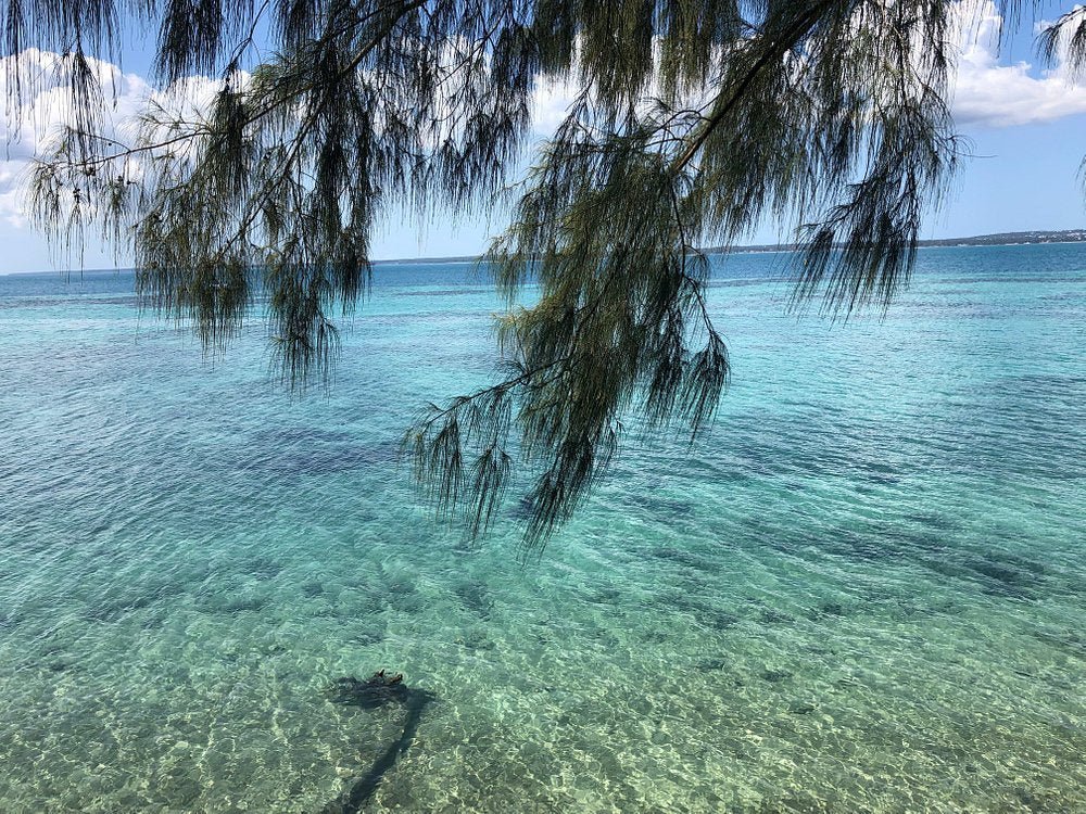 Zanzibar: Prison Island and Nakupenda Sandbank Tour with Seafood Lunch