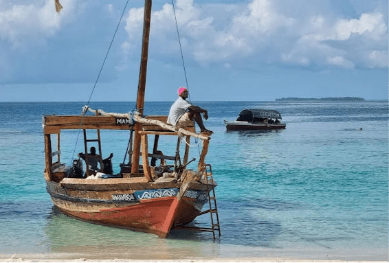 Zanzibar: Prison Island and Nakupenda Sandbank Tour with Snorkeling and BBQ