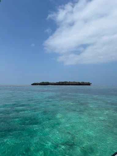 Zanzibar: Prison Island and Nakupenda Sandbank Tour with Snorkeling and BBQ