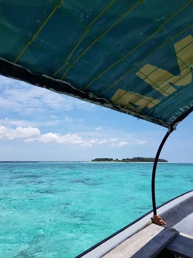 Zanzibar: Prison Island and Nakupenda Sandbank Tour with Snorkeling and BBQ