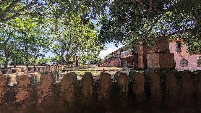 Zanzibar: Prison Island and Nakupenda Tour with Seafood BBQ from Uroa and Kiwengwa