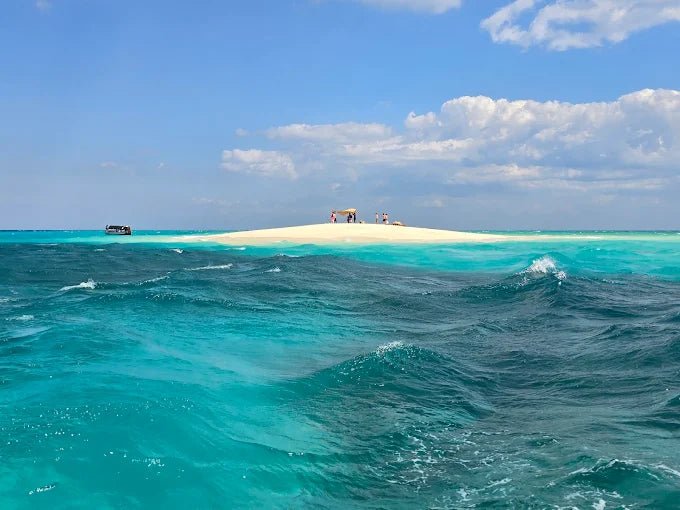 Zanzibar: Prison Island and Nakupenda Tour with Seafood BBQ from Uroa and Kiwengwa