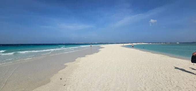 Zanzibar: Prison Island and Nakupenda Tour with Seafood BBQ from Uroa and Kiwengwa