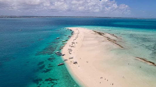 Zanzibar: Prison Island and Nakupenda Tour with Seafood BBQ from Uroa and Kiwengwa