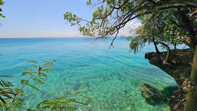 Zanzibar: Prison Island and Nakupenda Tour with Seafood BBQ from Uroa and Kiwengwa