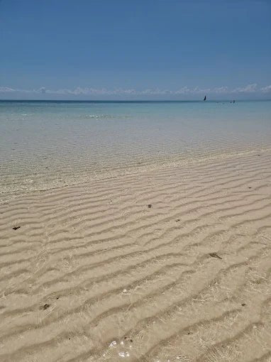 Zanzibar: Prison Island and Nakupenda Tour with Seafood BBQ from Uroa and Kiwengwa