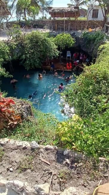 Zanzibar: Private Day Tour with Mnemba Snorkeling, Dolphins, Turtles and Jozani Forest