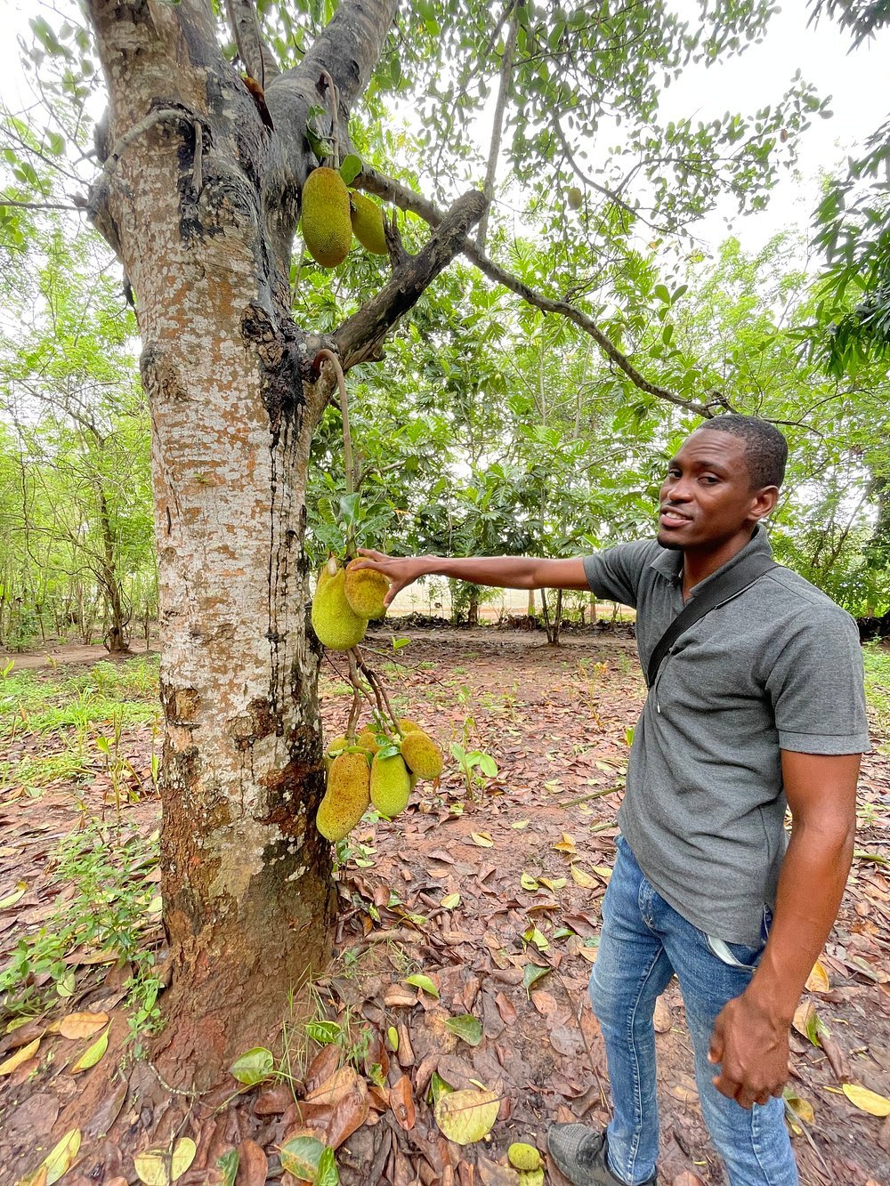 Zanzibar: Private Guided Spice Farm and Stone Town Walking Tour
