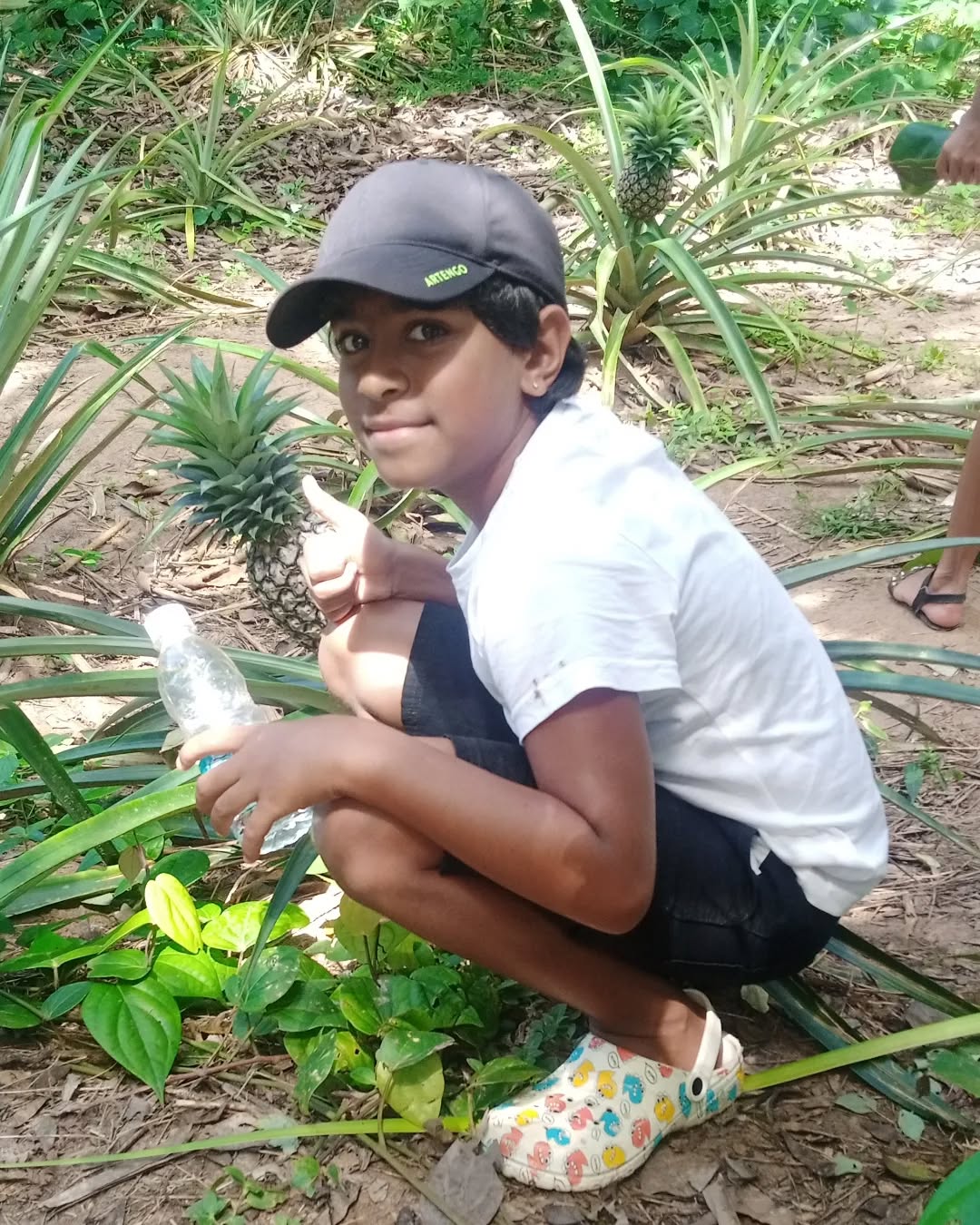 Zanzibar: Private Guided Spice Farm and Stone Town Walking Tour