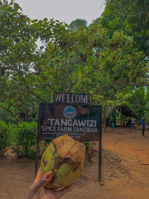 Zanzibar: Private Guided Spice Farm Tour with Lunch