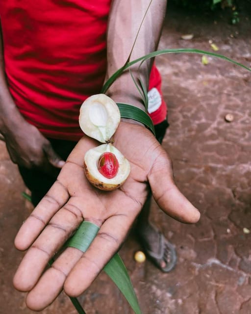 Zanzibar: Private Guided Spice Farm Tour with Lunch