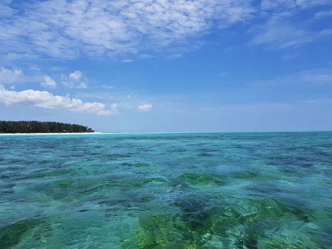 Zanzibar: Private Nakupenda Sandbank Boat Tour with Seafood Lunch for Couples