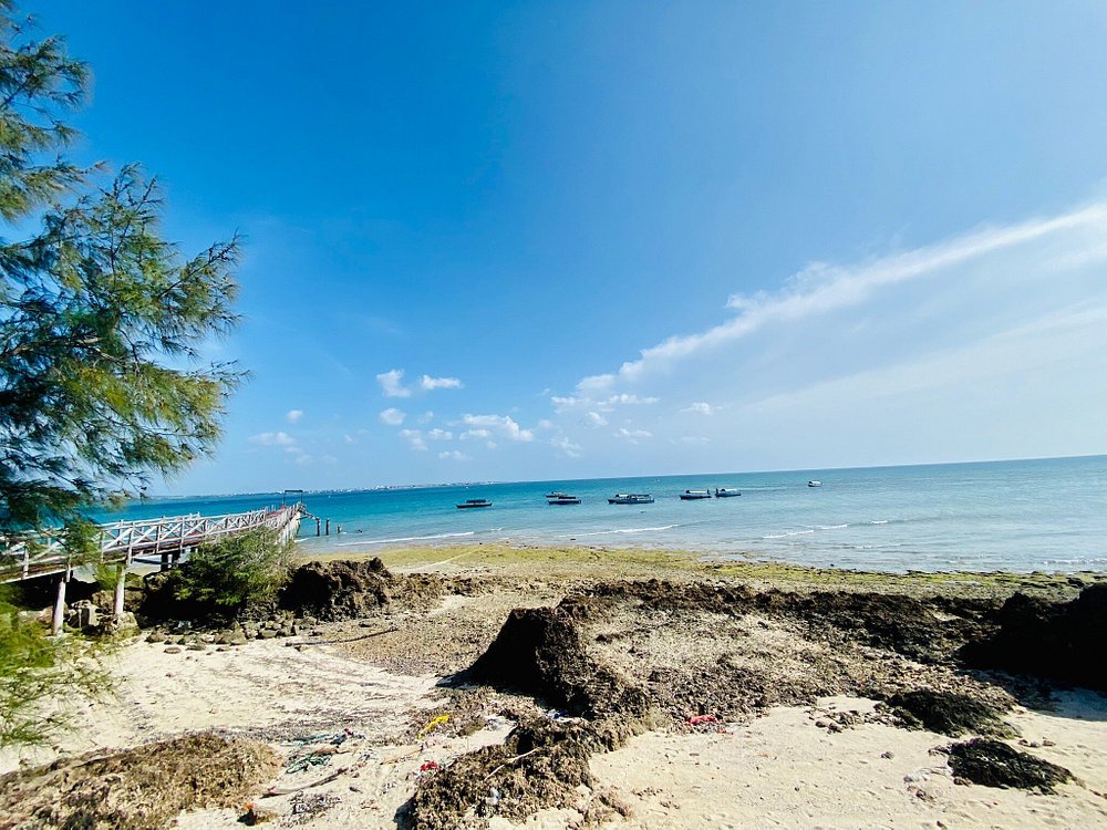 Zanzibar: Private Snorkeling Trip to Tumbatu Island from Nungwi or Kendwa