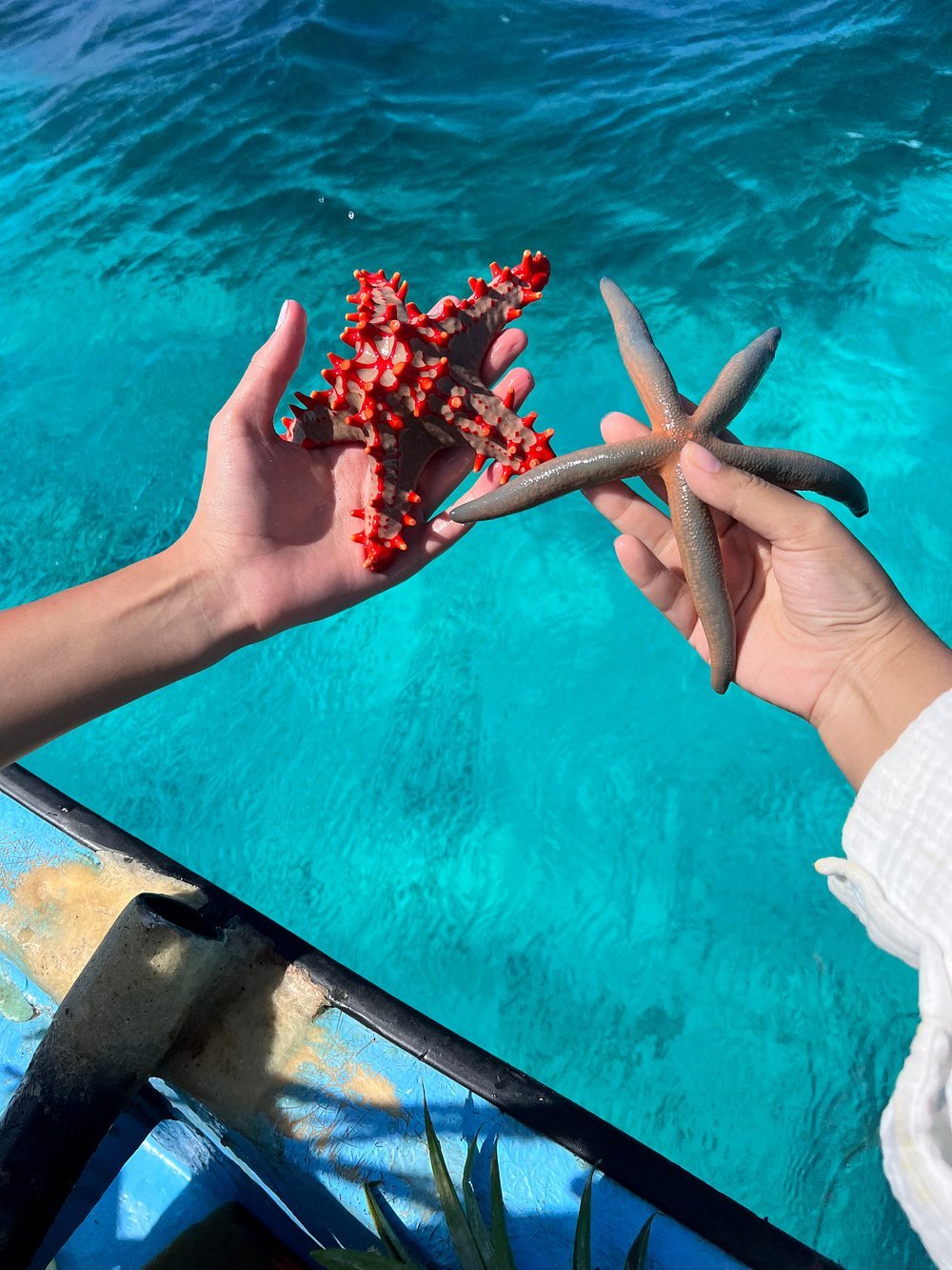 Zanzibar: Private Snorkeling Trip to Tumbatu Island from Nungwi or Kendwa