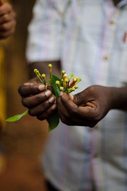 Zanzibar: Private Spice Farm Walking Tour with Hotel Pickup