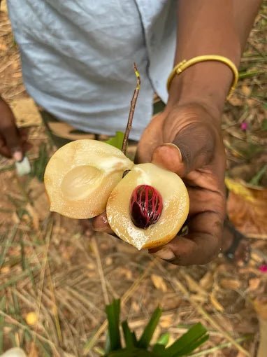 Zanzibar: Private Spice Farm Walking Tour with Hotel Pickup