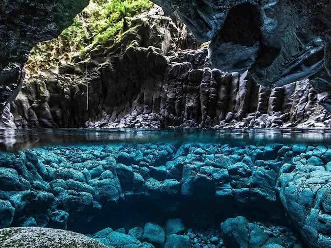 Zanzibar: Private Tour to Jozani Forest, Blue Lagoon, Kuza Cave and The Rock Restaurant
