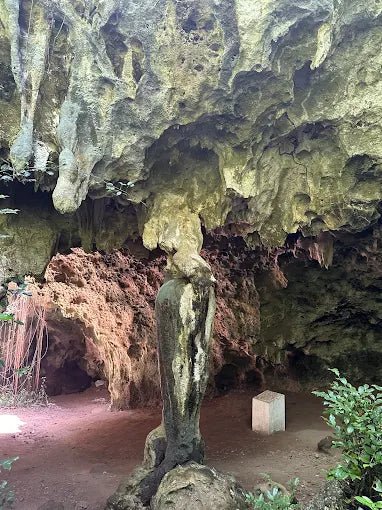 Zanzibar: Private Tour to Jozani Forest, Blue Lagoon, Kuza Cave and The Rock Restaurant