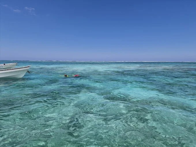 Zanzibar: Private Tour to Jozani Forest, Blue Lagoon, Kuza Cave and The Rock Restaurant