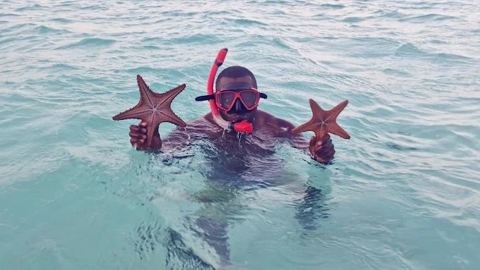Zanzibar: Private Tour to Jozani Forest, Blue Lagoon, Kuza Cave and The Rock Restaurant