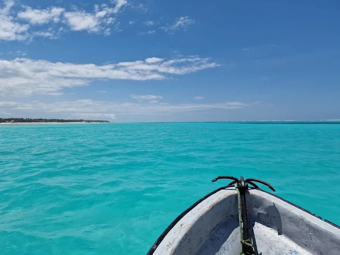 Zanzibar: Private Tour to Jozani Forest, Blue Lagoon, Kuza Cave and The Rock Restaurant