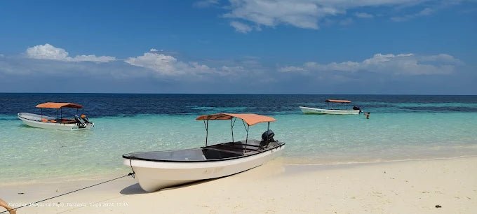 Zanzibar: Pungume Sandbank Sailboat Tour with Snorkeling and BBQ Lunch