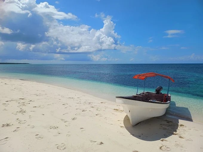 Zanzibar: Pungume Sandbank Sailboat Tour with Snorkeling and BBQ Lunch