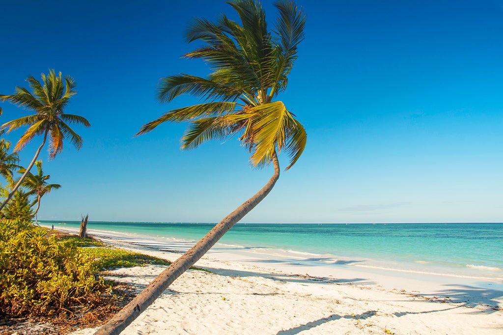 Zanzibar: Safari Blue Adventure with Snorkeling and Seafood Lunch