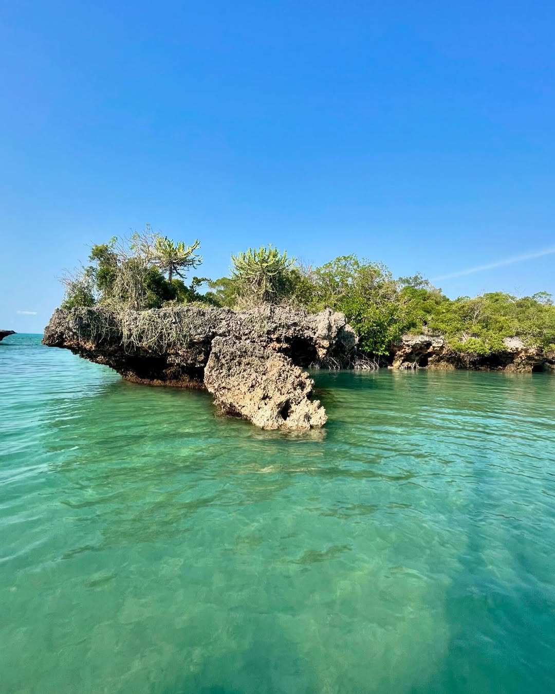 Zanzibar: Safari Blue Adventure with Snorkeling and Seafood Lunch