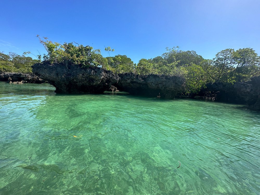 Zanzibar: Safari Blue and Kwale Island Snorkeling Day Trip with Seafood Lunch