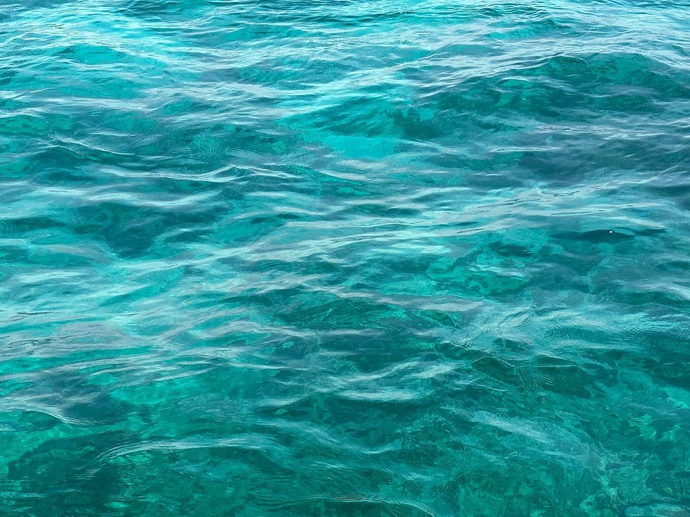 Zanzibar: Safari Blue and Kwale Island Snorkeling Day Trip with Seafood Lunch