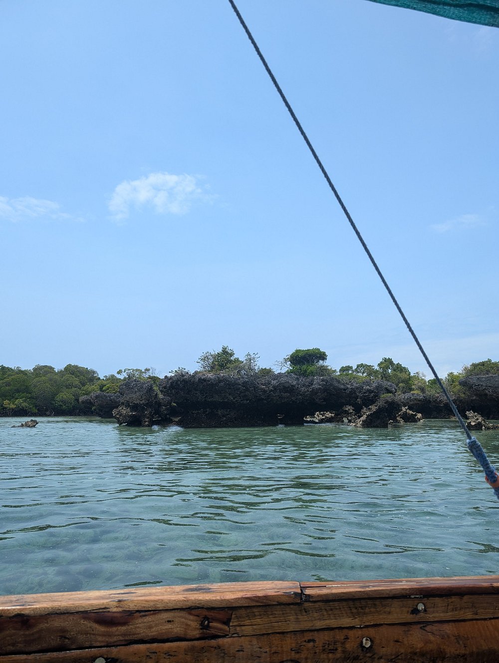Zanzibar: Safari Blue and Kwale Island Snorkeling Day Trip with Seafood Lunch
